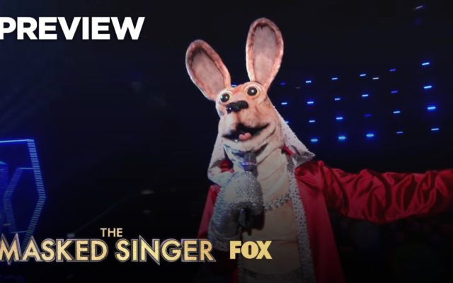 THE MASKED SINGER Unveils the Turtle and a Brand New Promo for Season 3