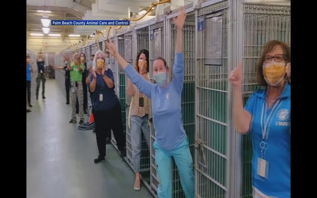 Palm Beach County Animal Care and Control Celebrates Empty Kennel