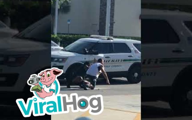 WEIRD NEWS: Florida Man Flips Out