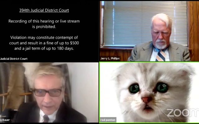 Lawyer Has Cat-astrophic Zoom Meeting
