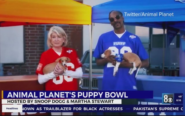 Snoop Dogg, Martha Stewart Hosting Puppy Bowl 2021