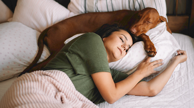 Why You’re Wired To Sleep With Your Dog
