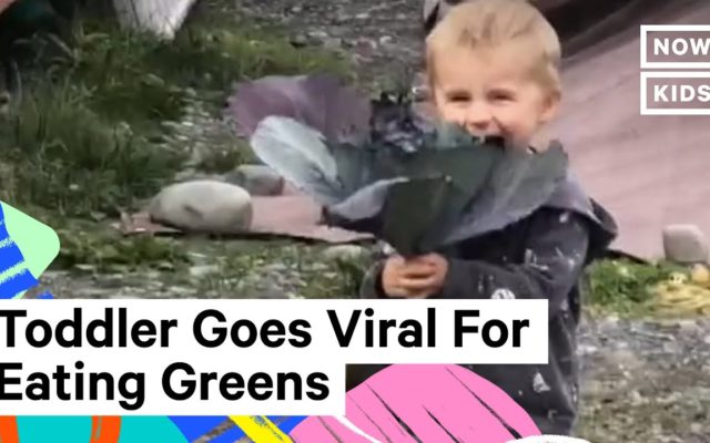 People Can’t Get Over How Much This Kid Loves His Vegetables