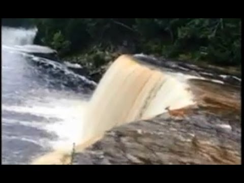 A Deer Goes Over a 50-Foot Waterfall, and Survives