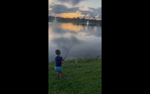 Watch a Gator Snatch a Little Boy’s Fish . . . and His Fishing Pole
