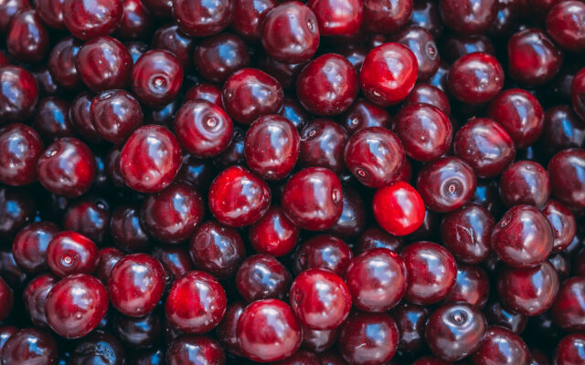 Major Shortage of Your Thanksgiving Cranberries