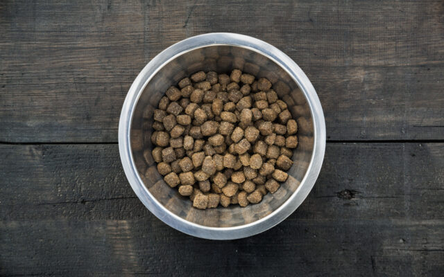 What’s In YOUR Dog’s Bowl?