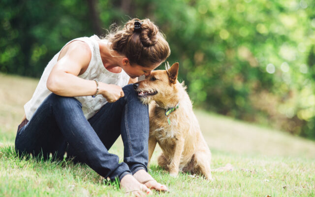You Love Your Dog…But Does Your Dog Love You Back?